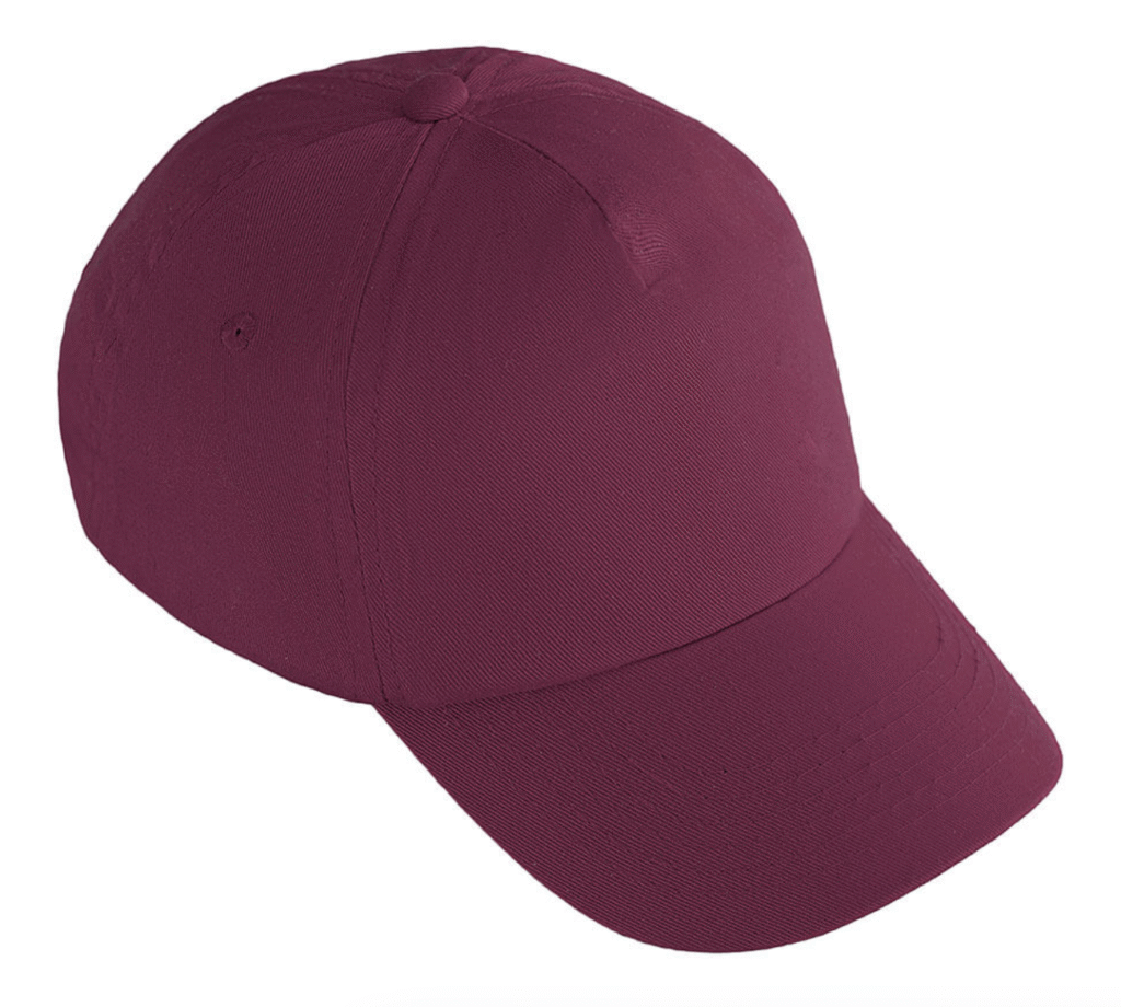 Iwade School Baseball Cap With School Logo